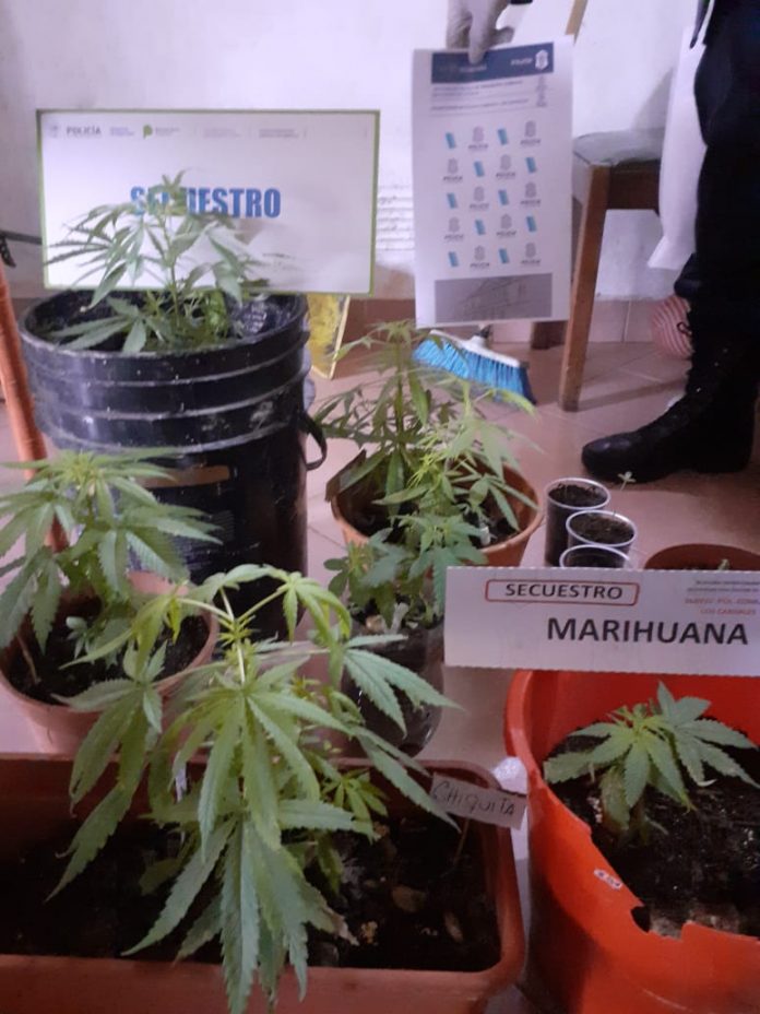 PHOTO-2020-07-23-18-57-11