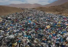 Desde China a La Salada. El boom de la importación de ropa usada