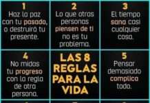 LA VIDA EN OCHO REGLAS