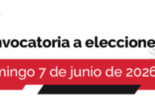 ELECCIONES INTERNAS. LA UCR ANTE EL GRAN DESAFÍO DE RESURGIR
