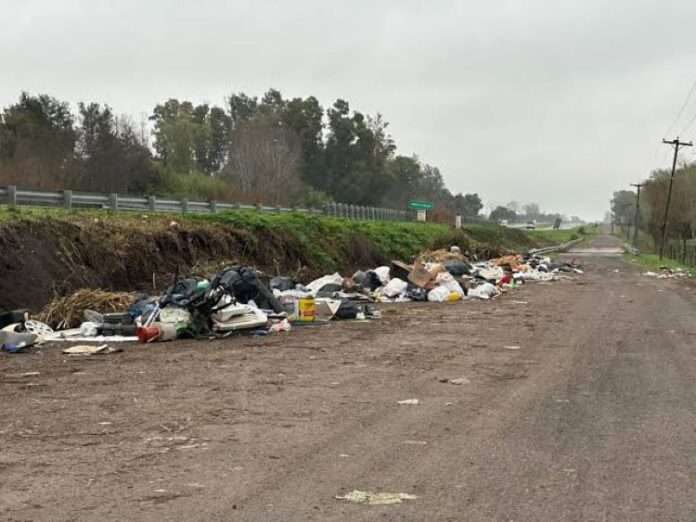 basura colec 8ruta8
