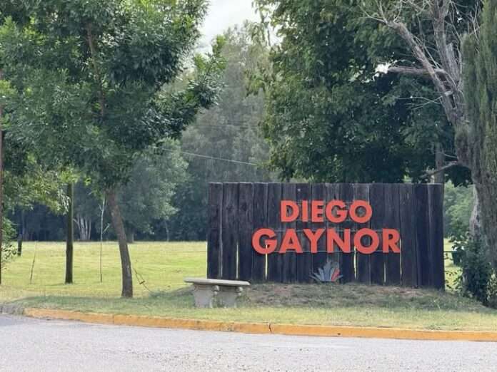 gay